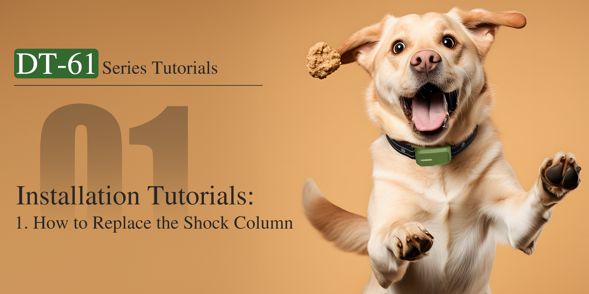 DT-61 How to Replace the Shock Column