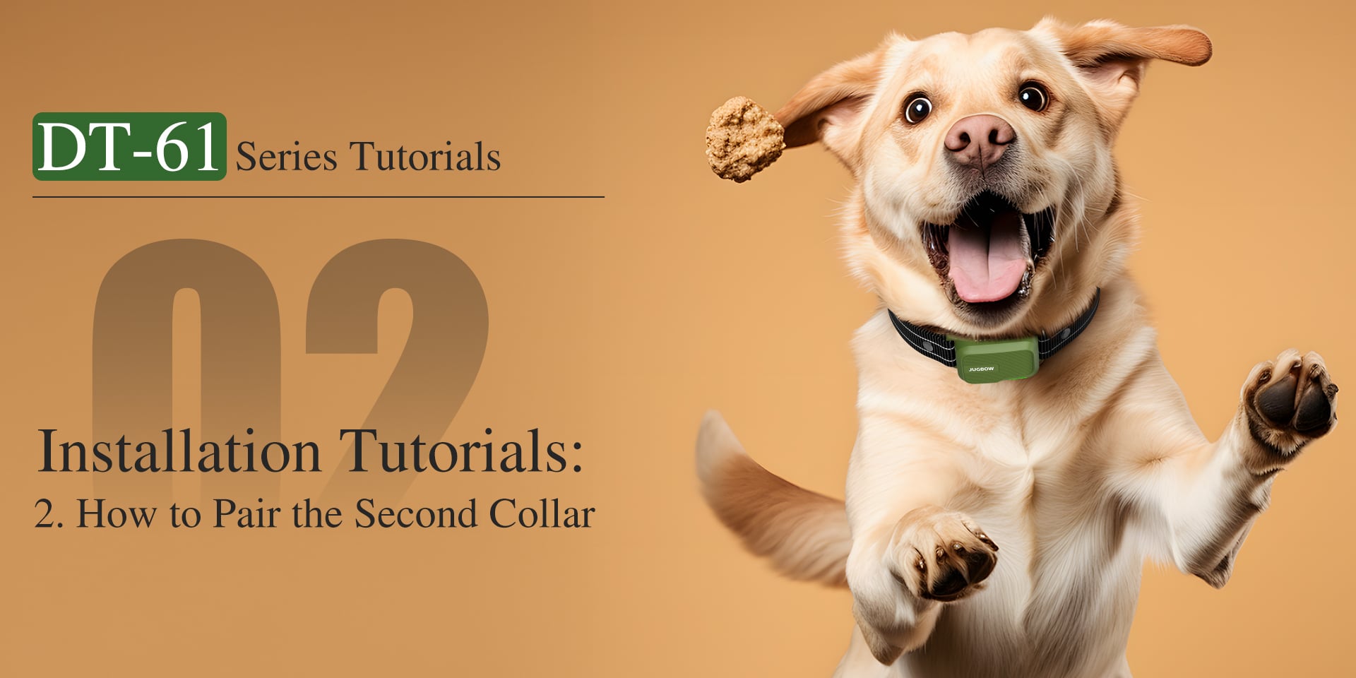 DT-61 How to Pair the Second Collar