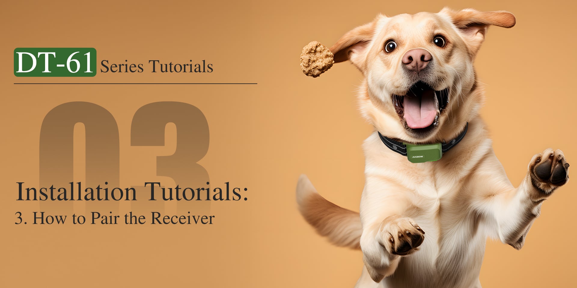 DT-61 How to Pair the Receiver