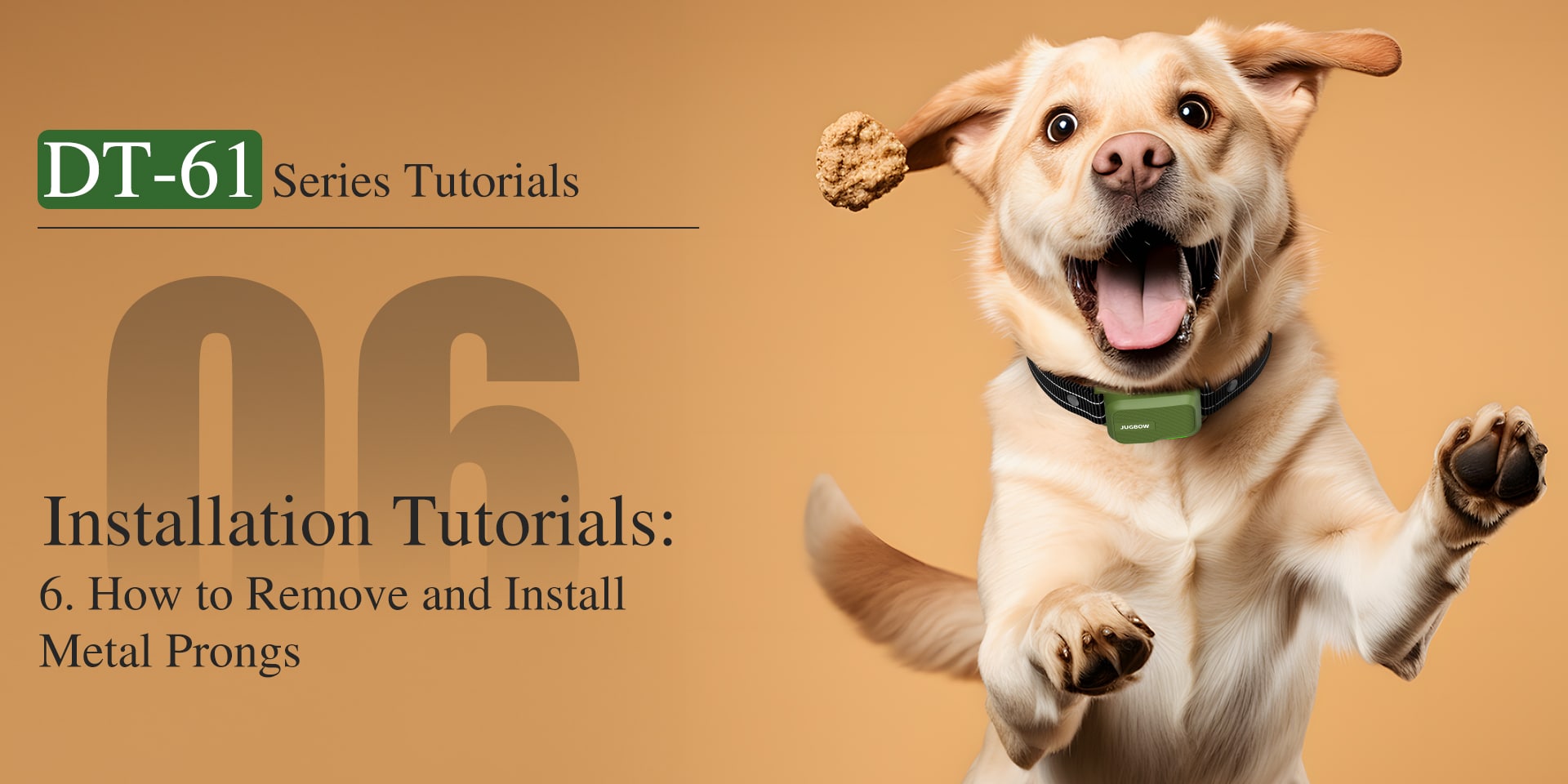 DT-61 How to Remove and Install Metal Prongs