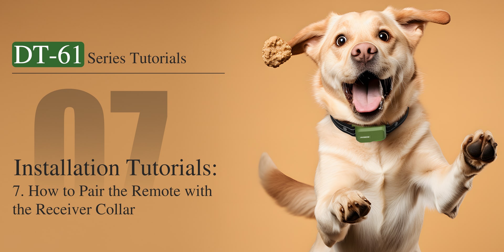DT-61 How to Pair the Remote with the Receiver Collar