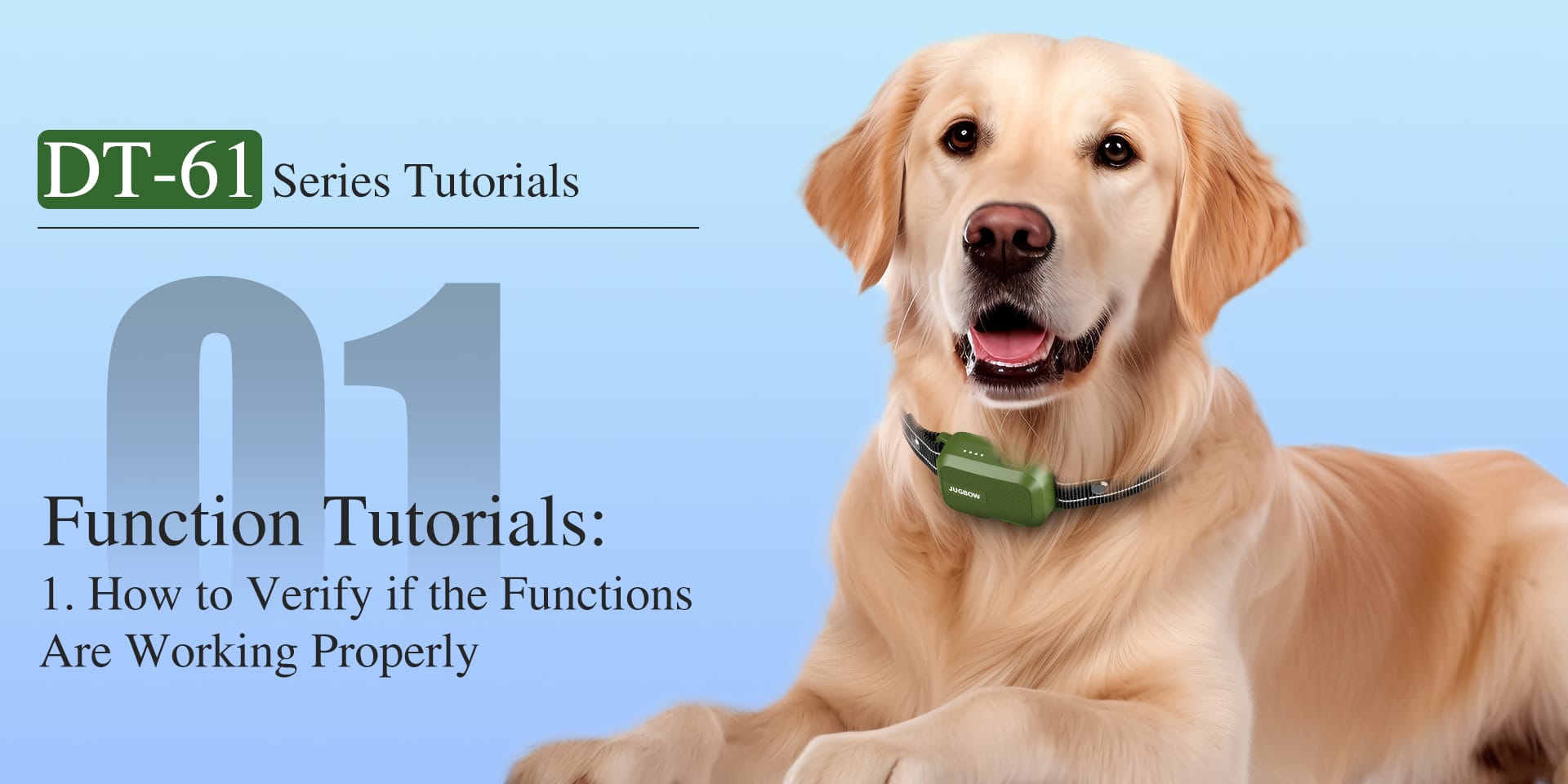 DT-61 How to Verify if the Functions Are Working Properly