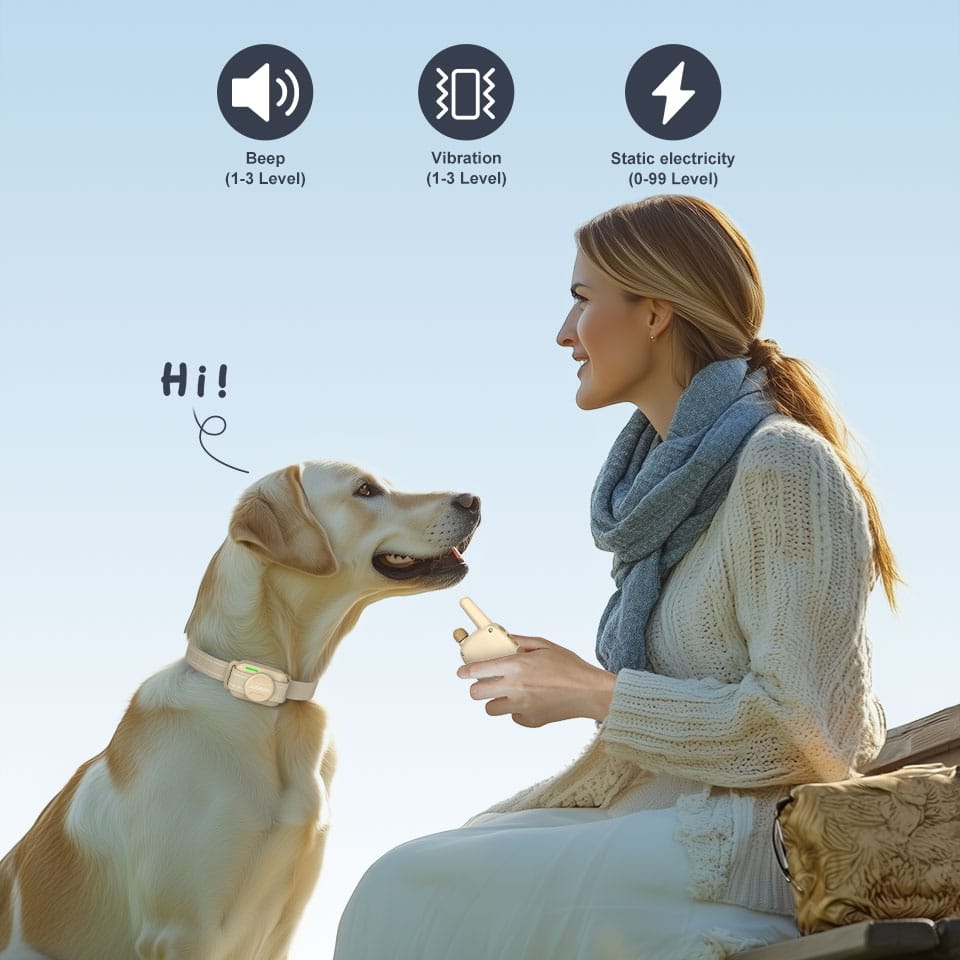 Safety Lock - Dog training device