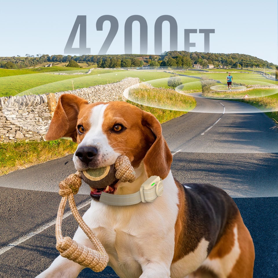 Customizable Electrodes - Training device