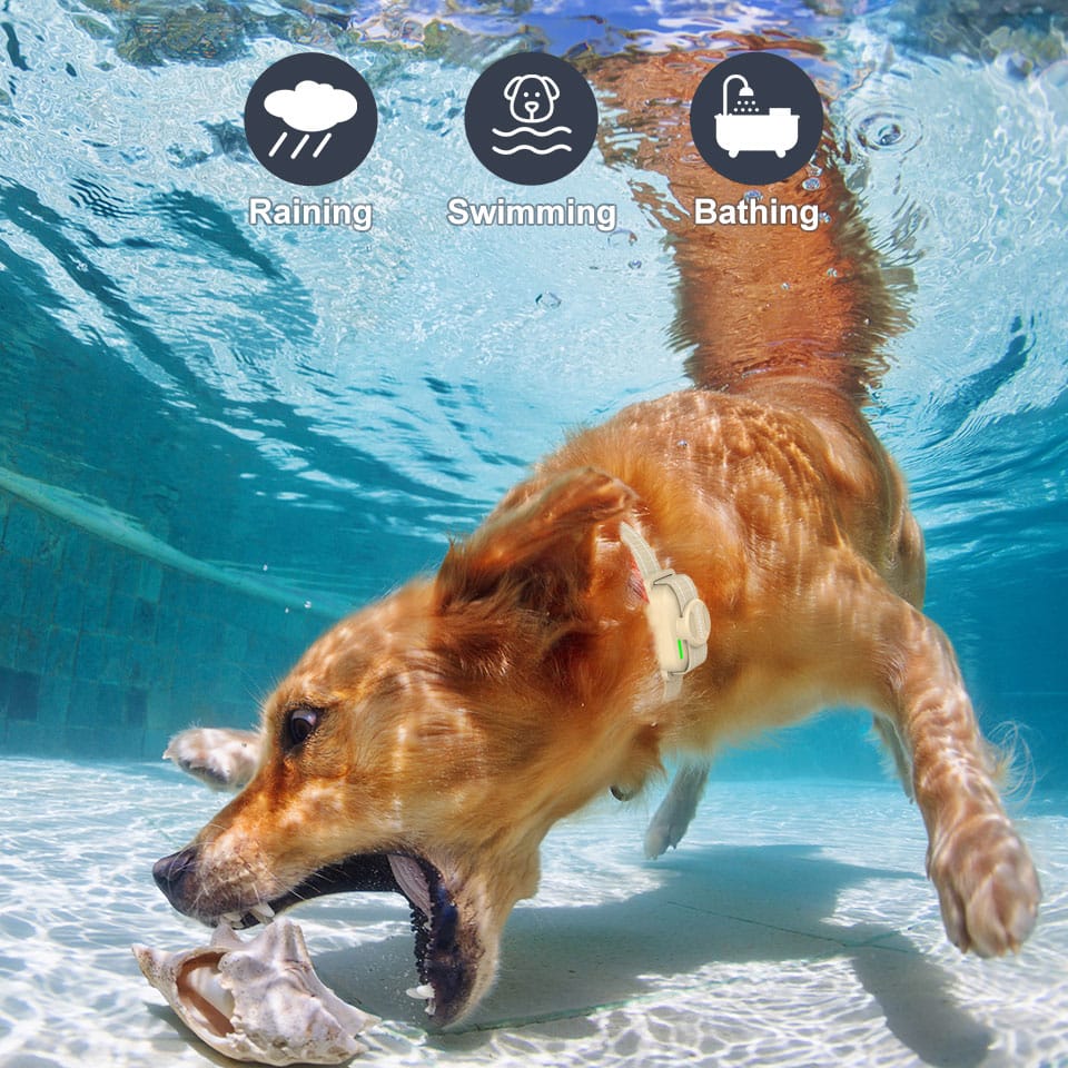 Waterproof Durability - Dog device