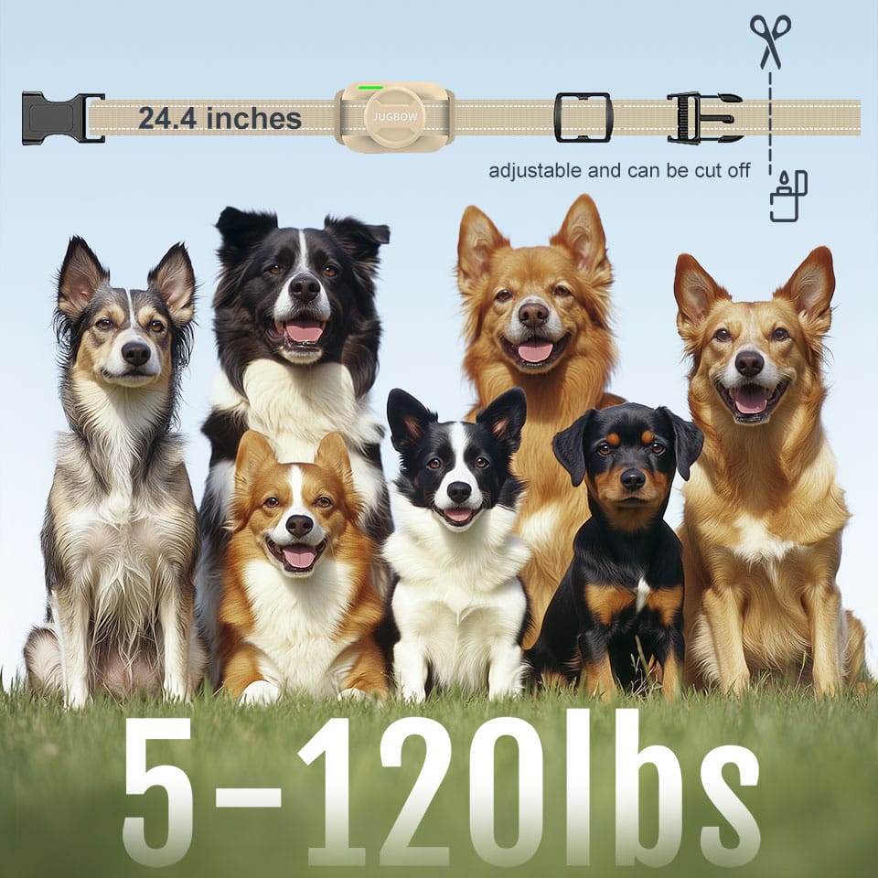 Overuse Protection - Pet training