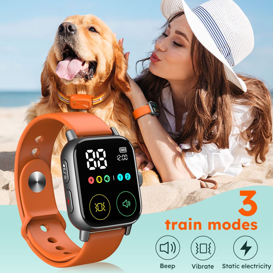 Safety Lock - Dog training device