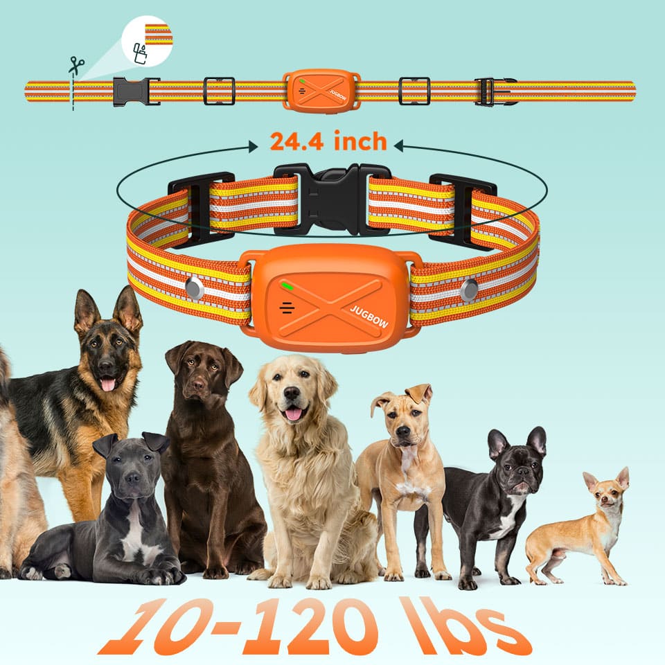 Overuse Protection - Pet training