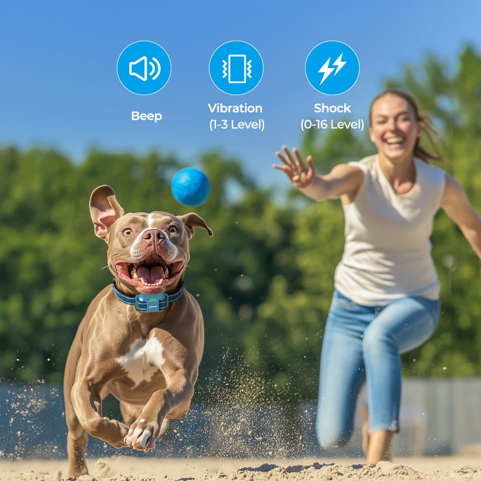 Safety Lock - Dog training device