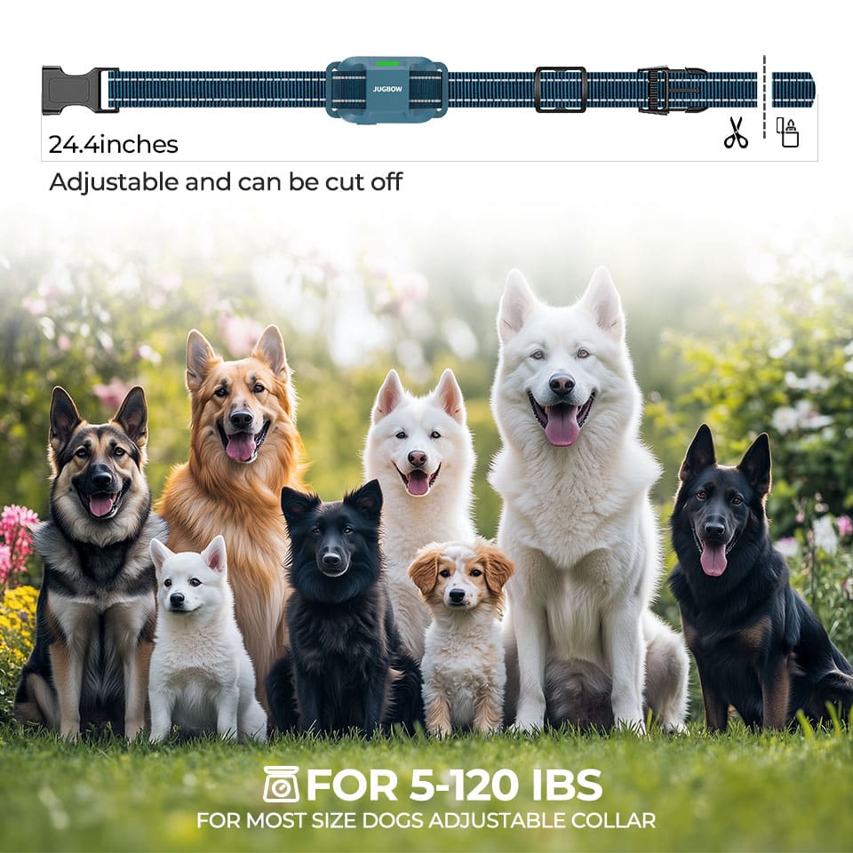 Overuse Protection - Pet training