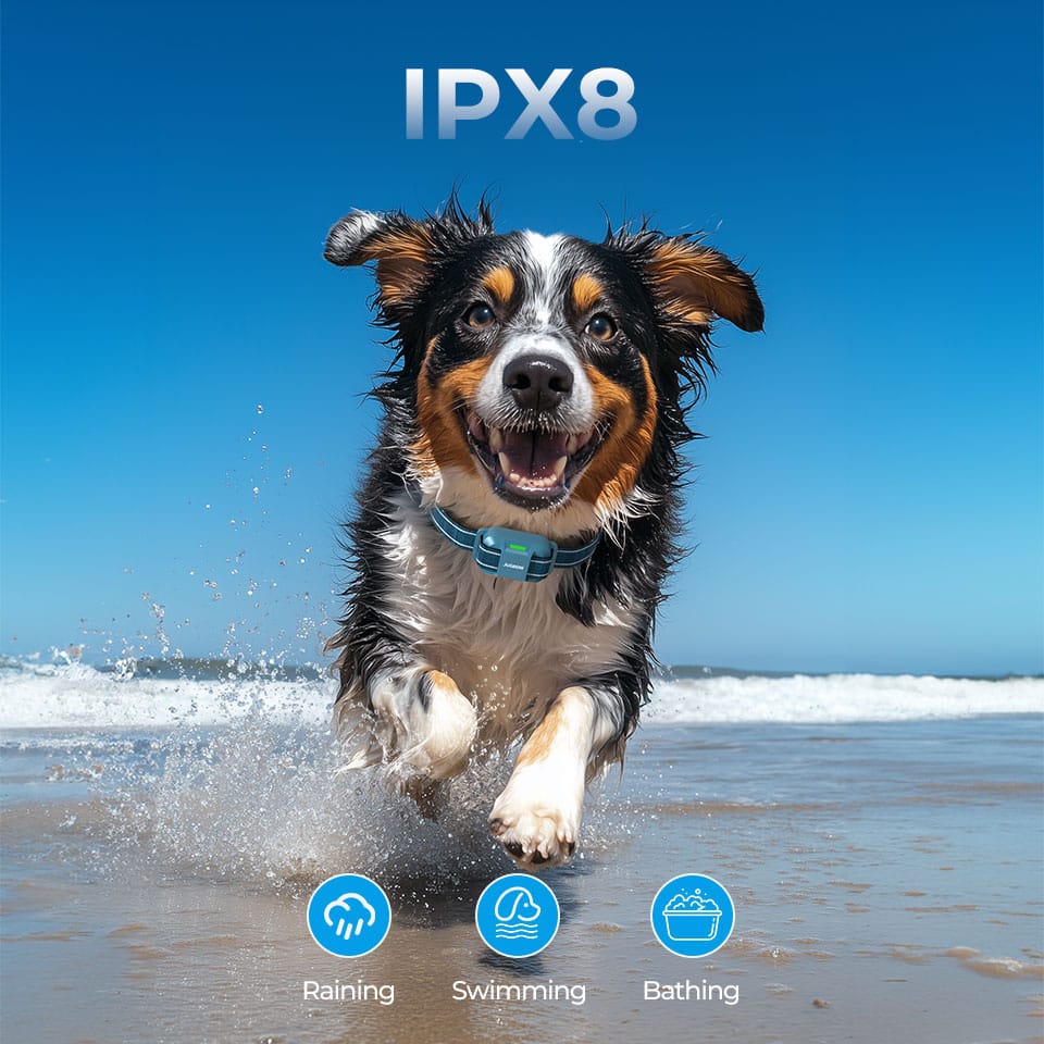 Waterproof Durability - Dog device