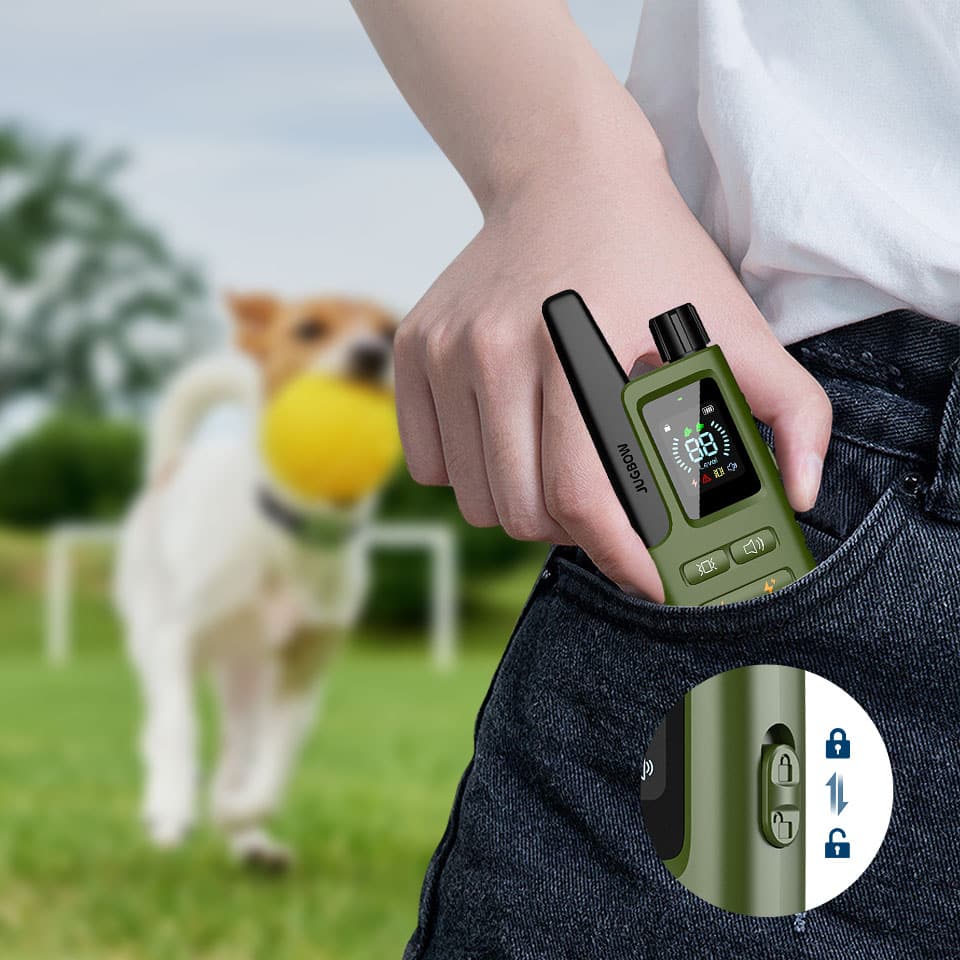 Safety Lock - Dog training device