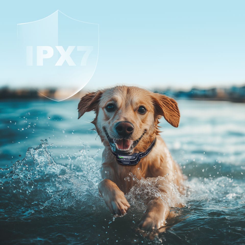 Waterproof Durability - Dog device