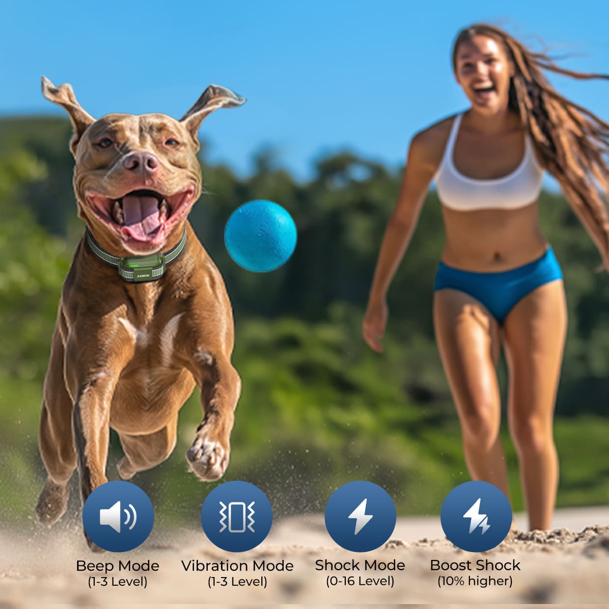 Safety Lock - Dog training device