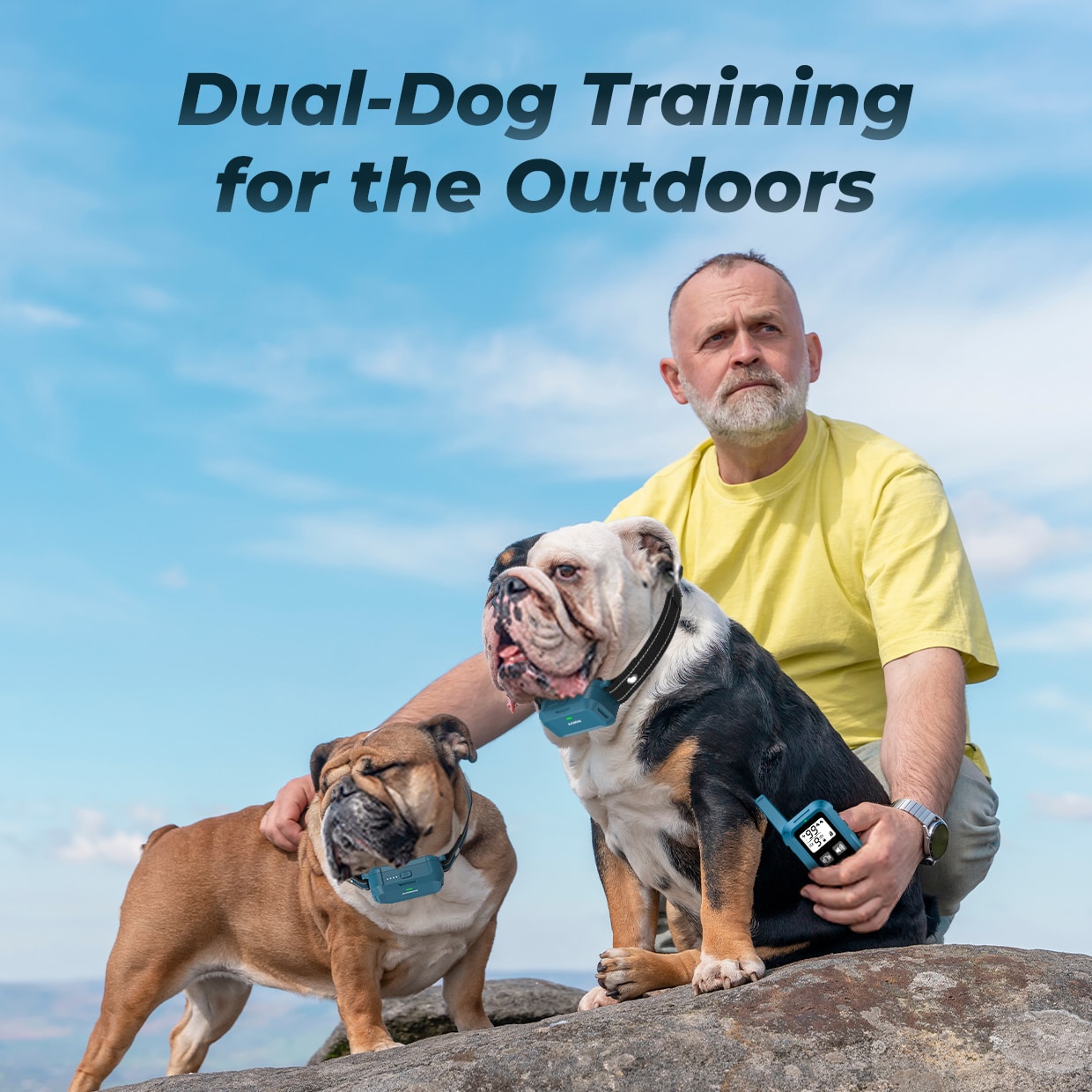 Safety Lock - Dog training device