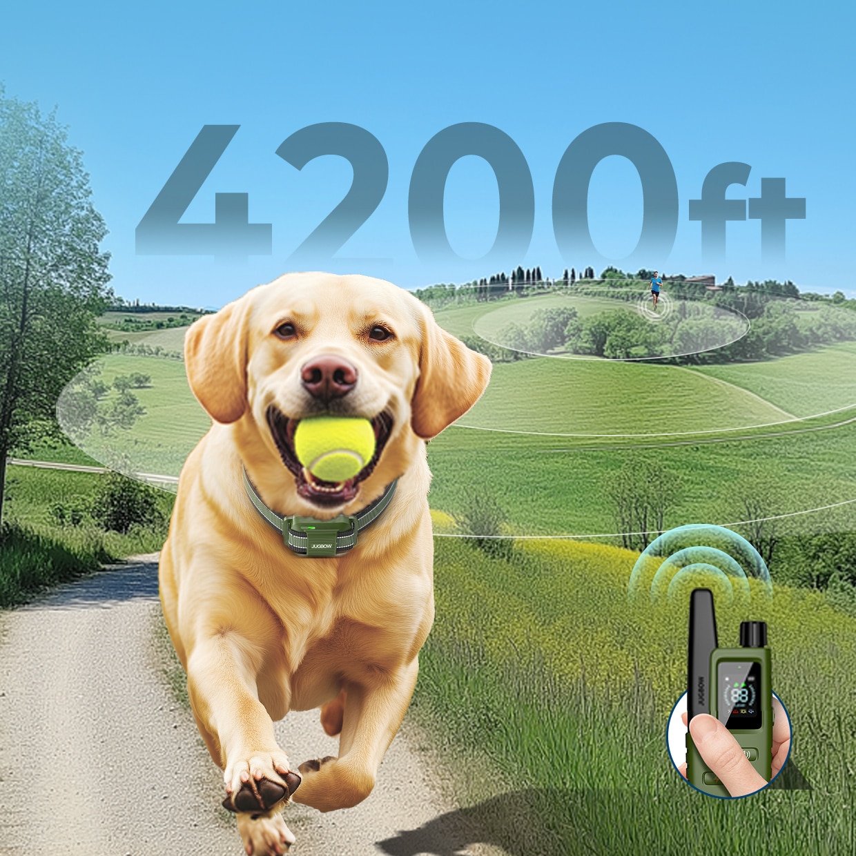 Customizable Electrodes - Training device