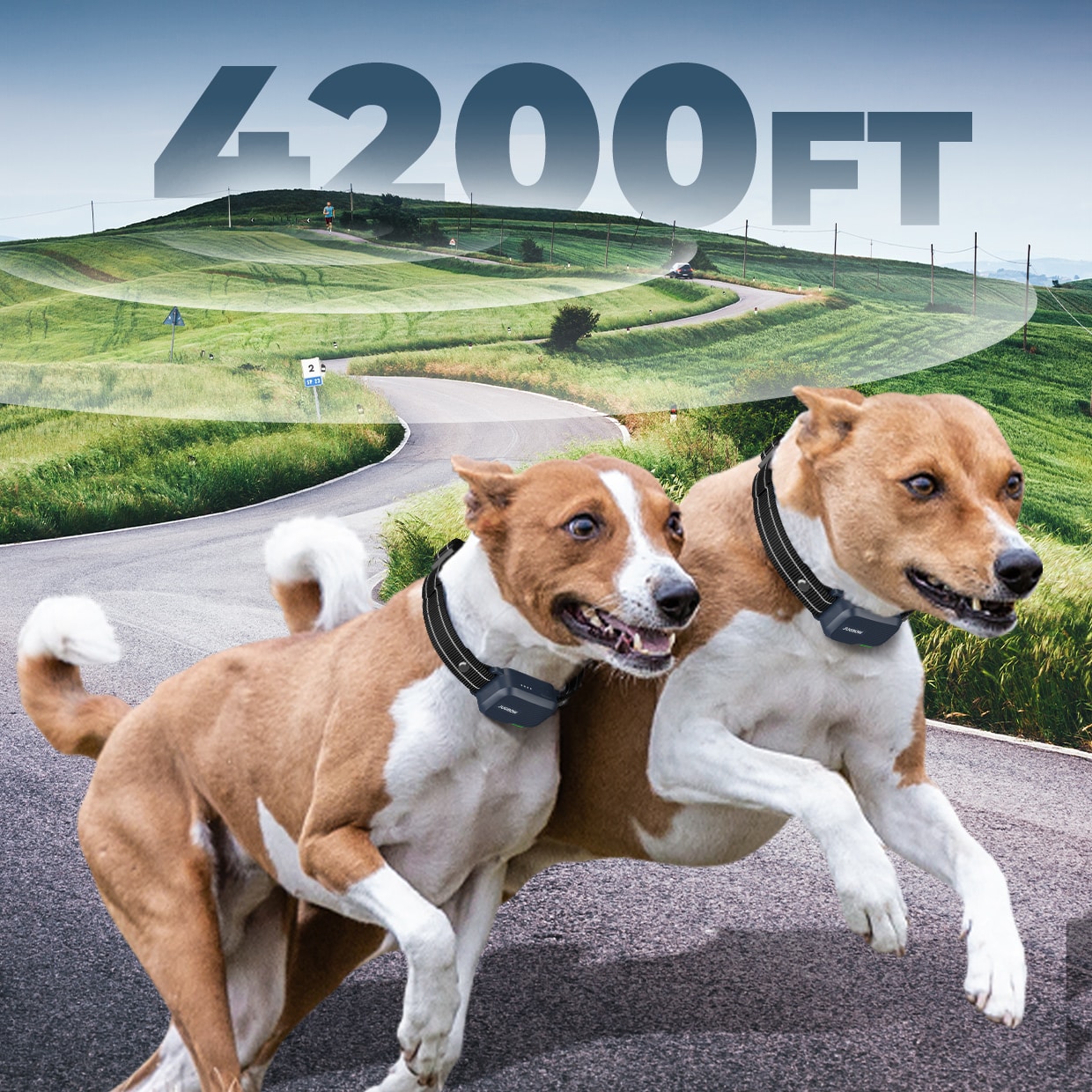 Customizable Electrodes - Training device