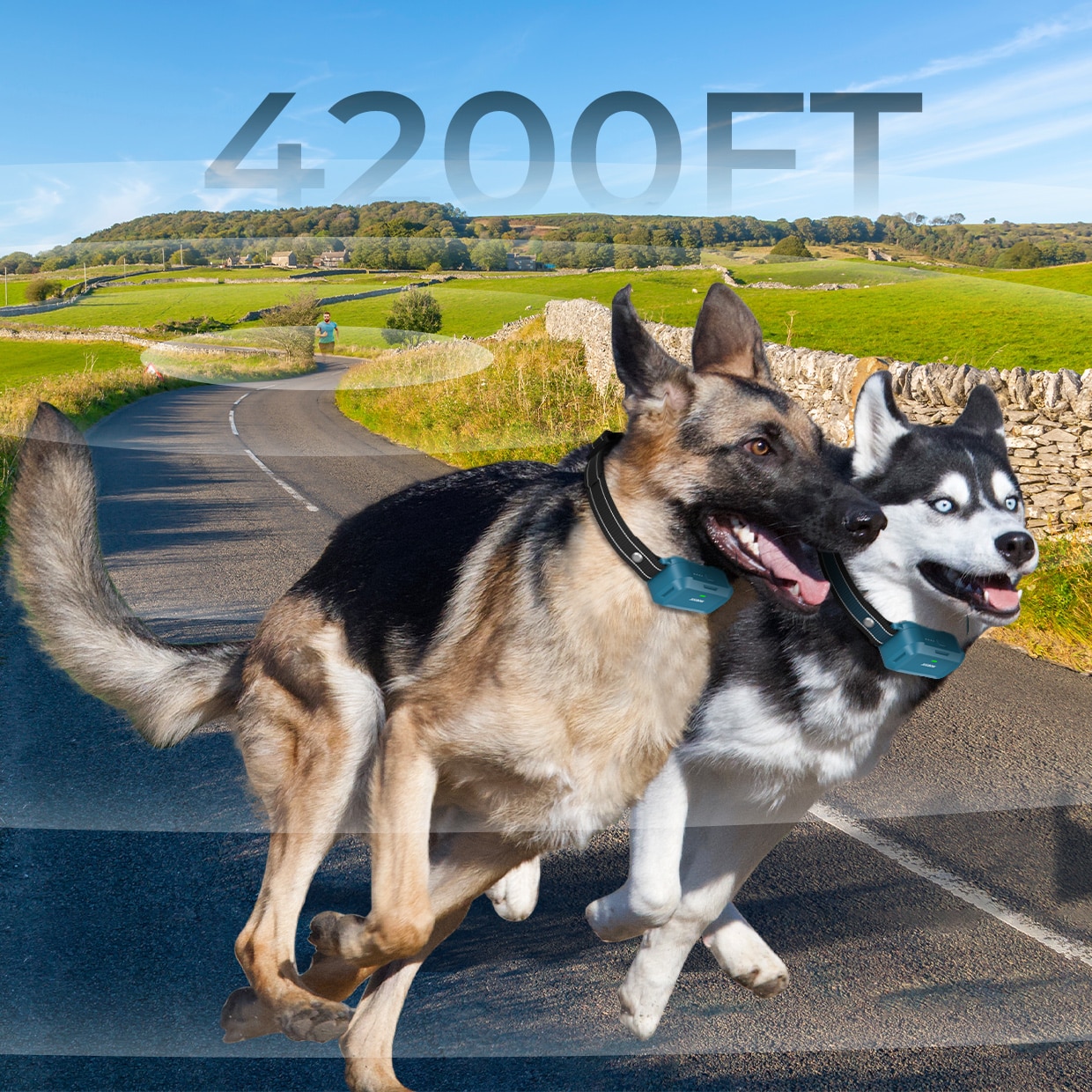 Customizable Electrodes - Training device