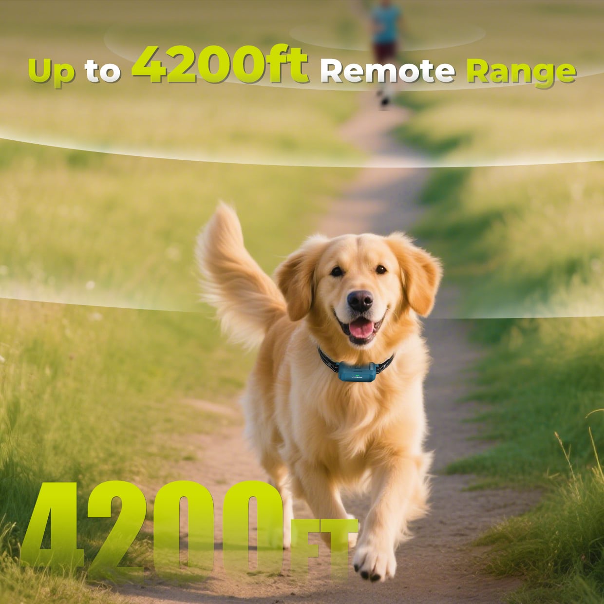 Customizable Electrodes - Training device