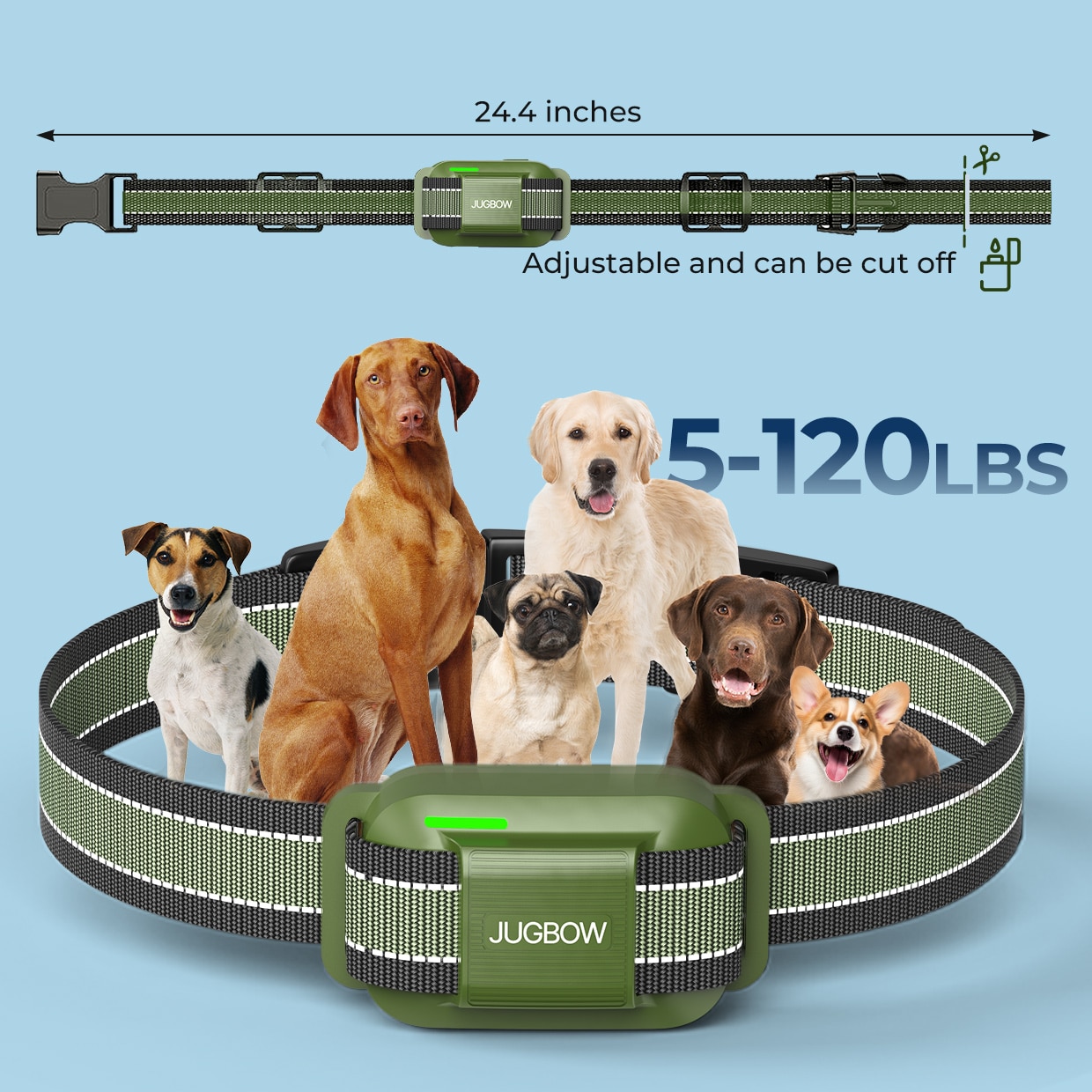 Overuse Protection - Pet training