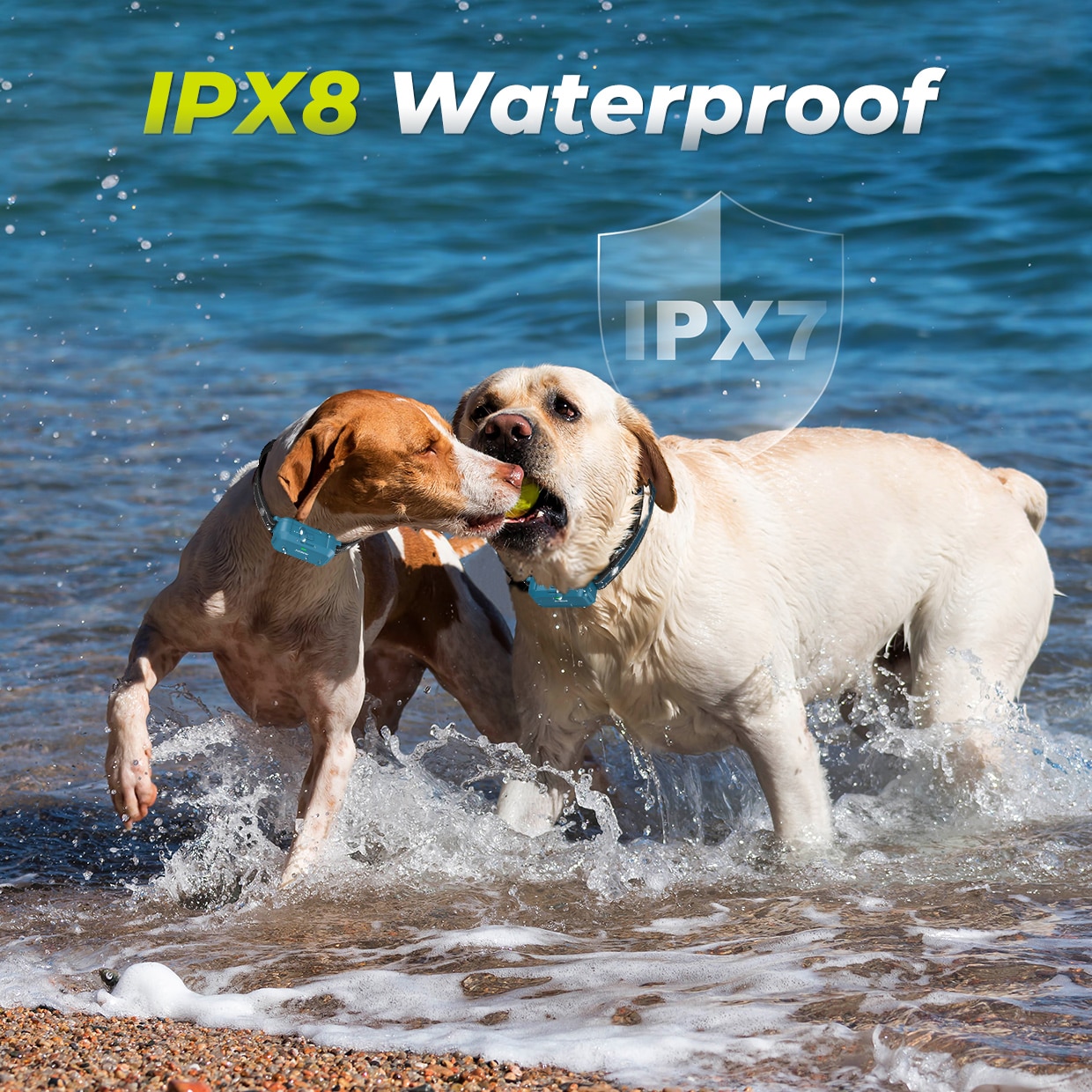Waterproof Durability - Dog device