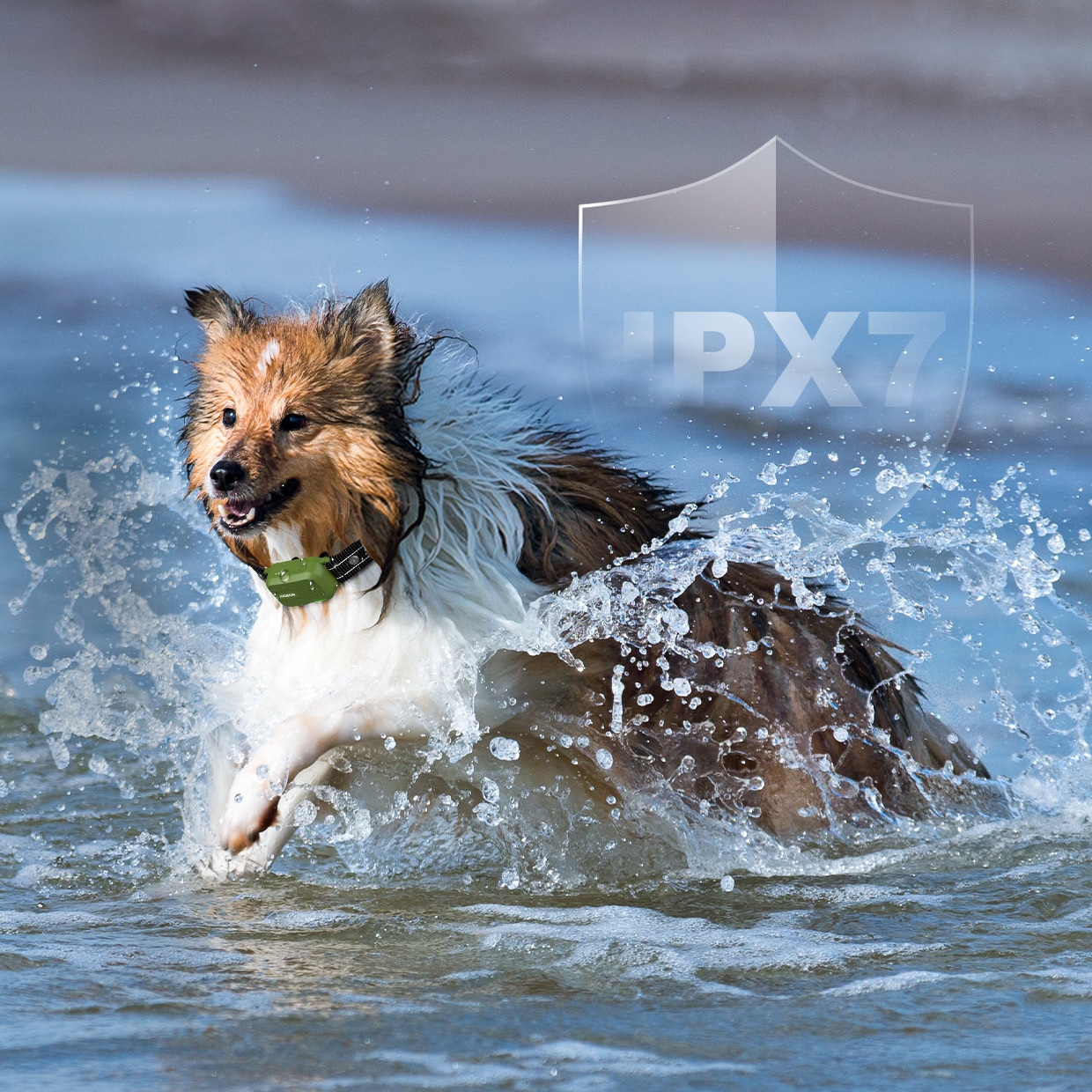 Waterproof Durability - Dog device