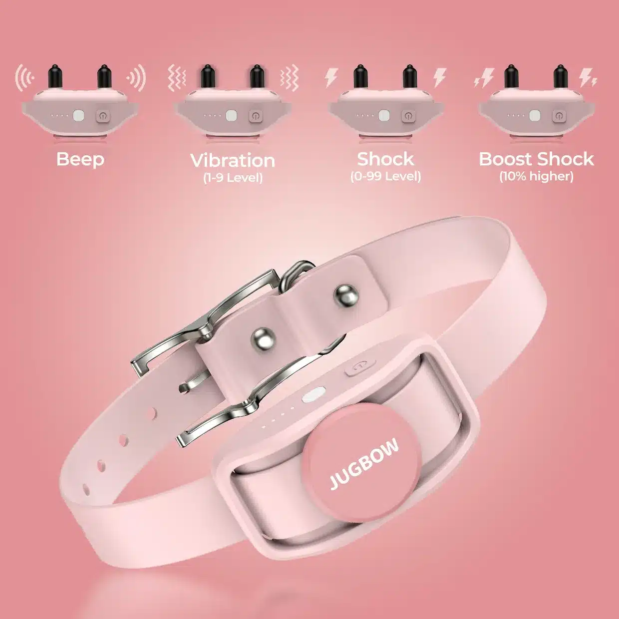 Safety Lock - Dog training device