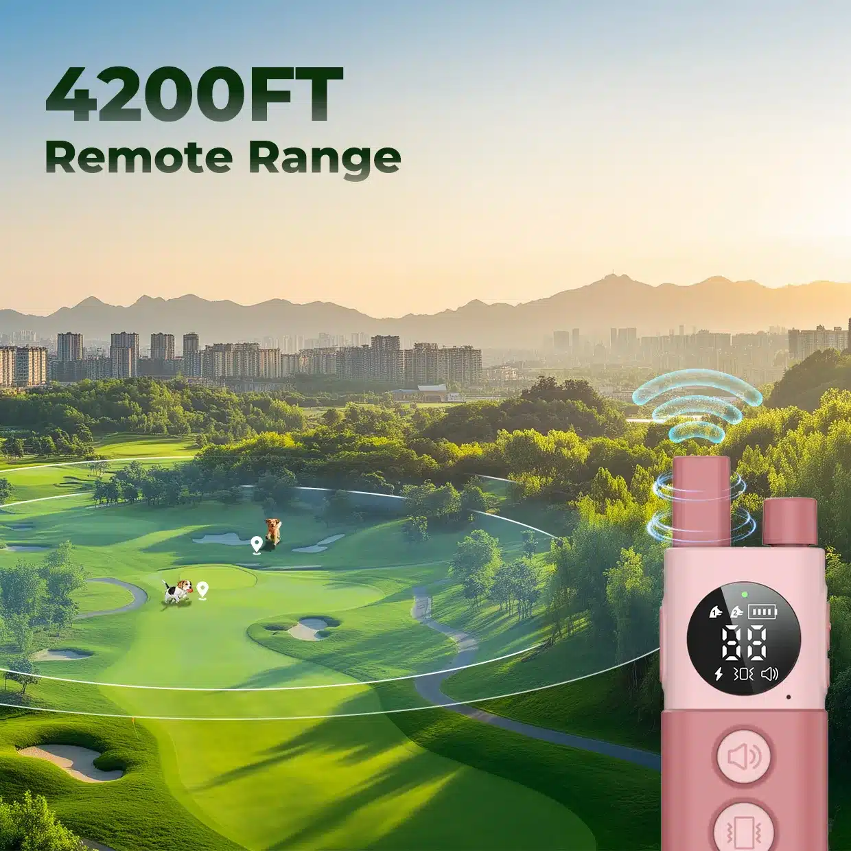 Customizable Electrodes - Training device